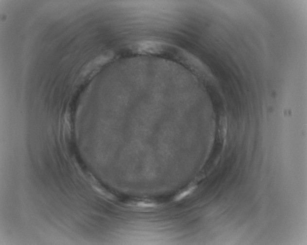 X0000083050506200702231959