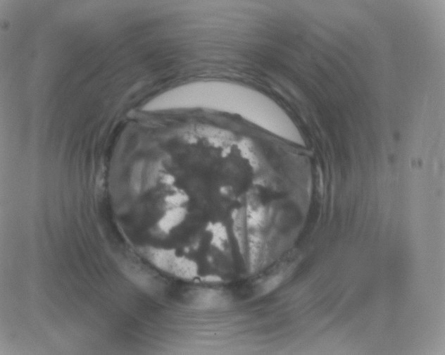 X0000083050507200702231959