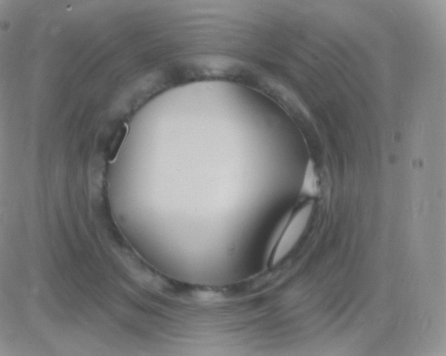 X0000083050509200702231959