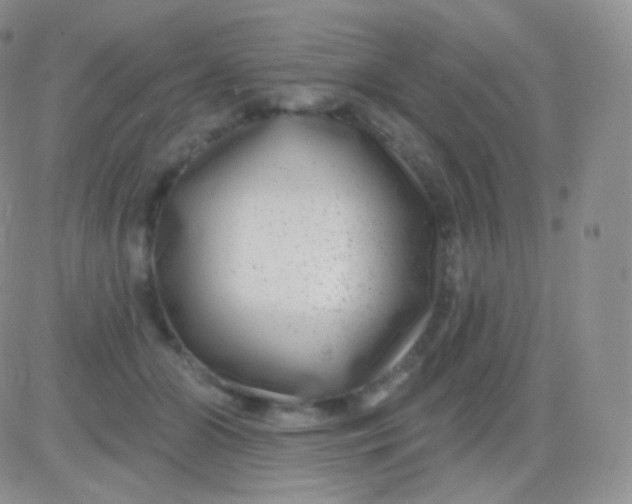 X0000083050510200702231958