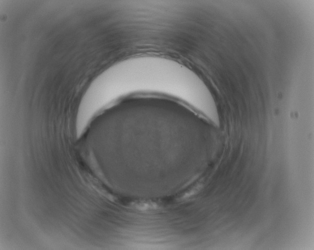 X0000083050512200702231958