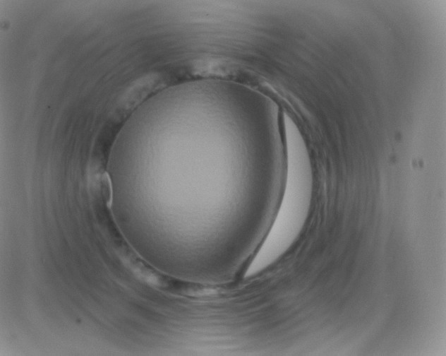 X0000083050513200702231958