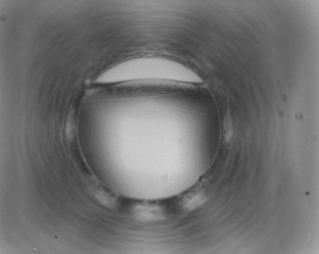 X0000083050515200702231958