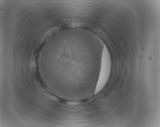 X0000083050516200702231958