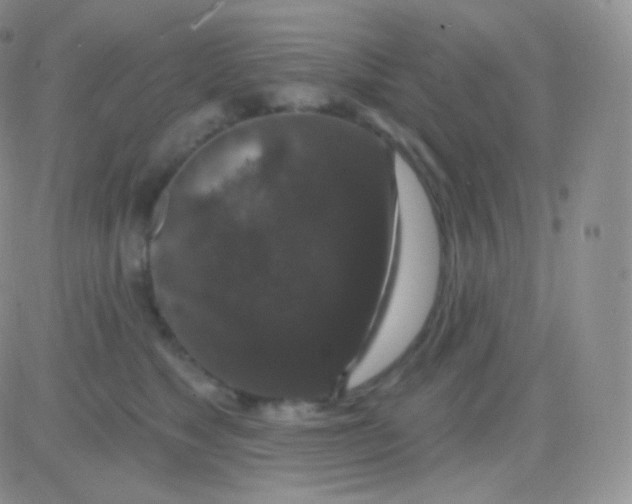 X0000083050517200702231958