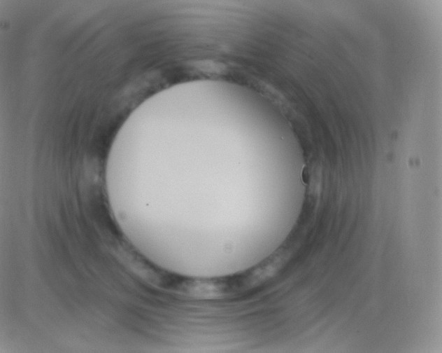 X0000083050518200702231958