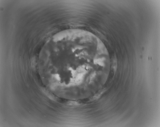 X0000083050519200702231958