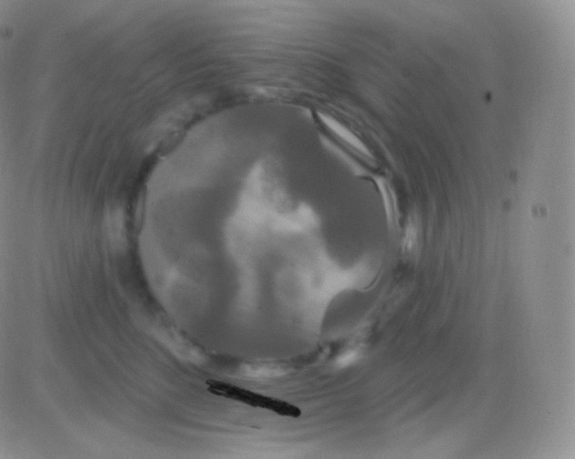 X0000083050520200702231958