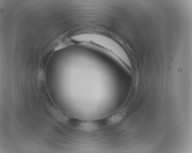 X0000083050521200702231958