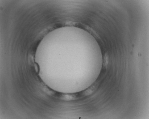 X0000083050522200702231958