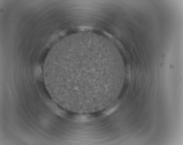 X0000083050523200702231958