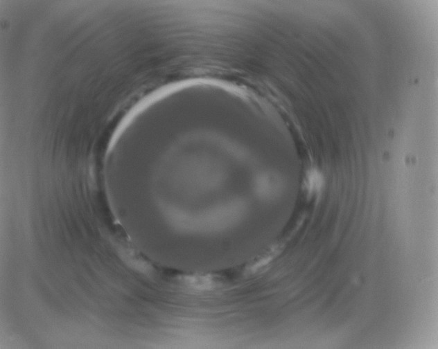 X0000083050524200702231958