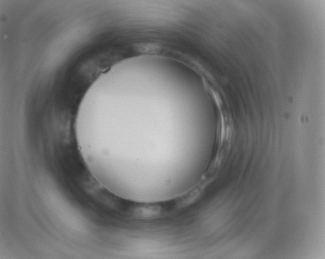 X0000083050525200702231958