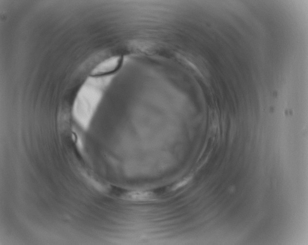 X0000083050526200702231958