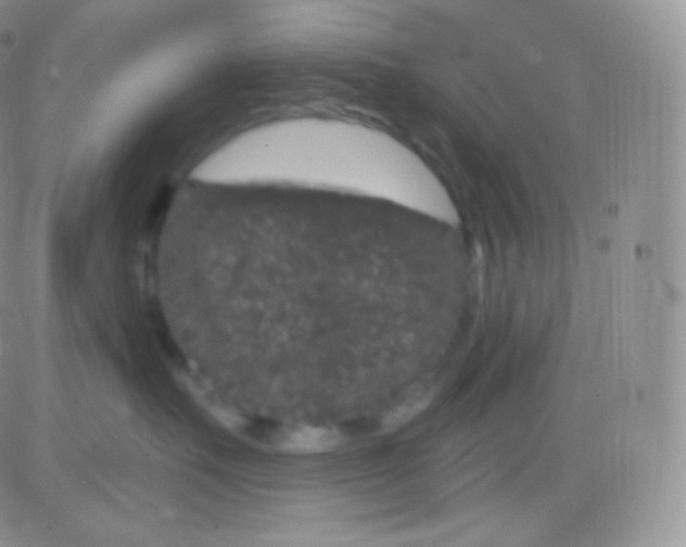 X0000083050527200702231958