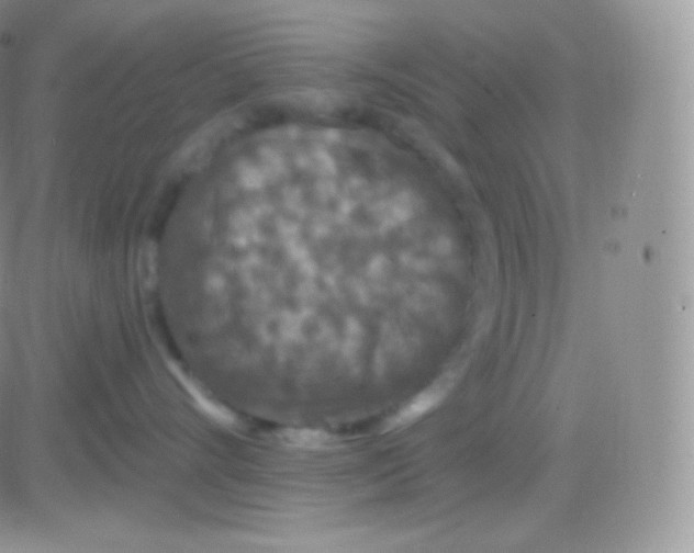 X0000083050528200702231958