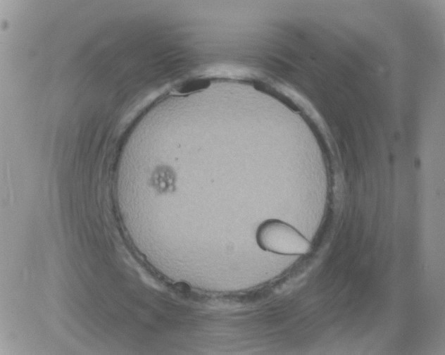 X0000083050529200702231957