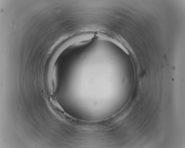 X0000083050530200702231957