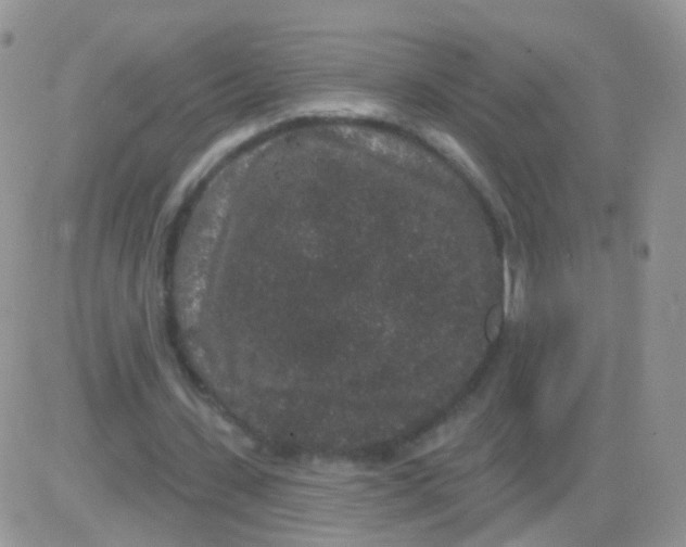 X0000083050531200702231957