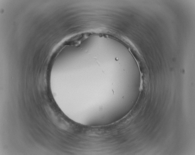 X0000083050532200702231957