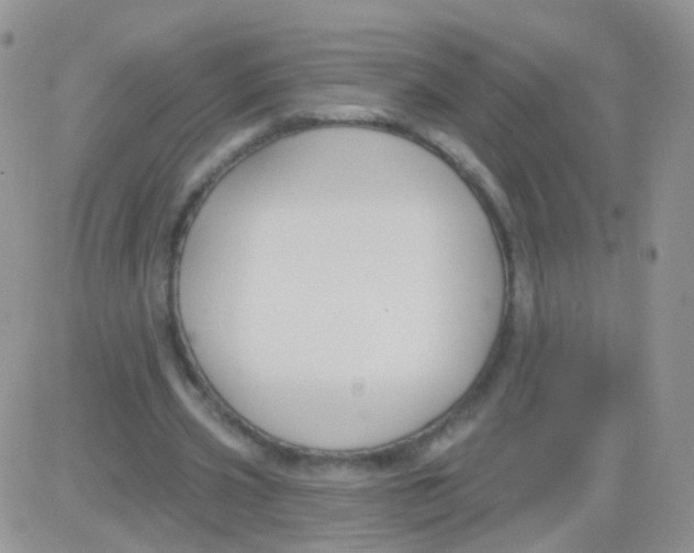 X0000083050533200702231957