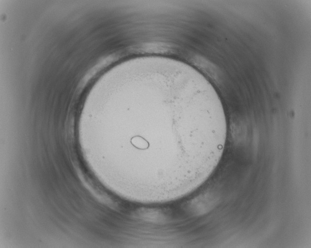 X0000083050534200702231957