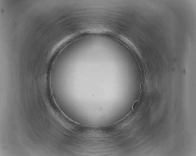 X0000083050535200702231958