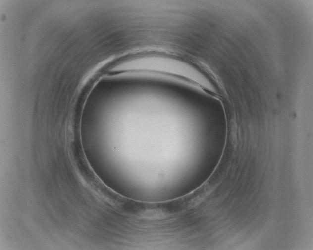 X0000083050536200702231958