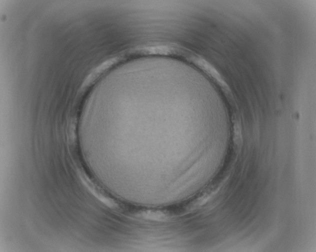 X0000083050537200702231958