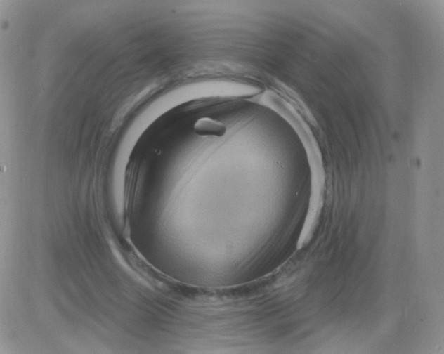 X0000083050538200702231958