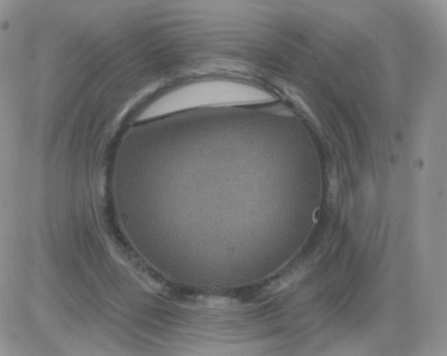 X0000083050539200702231958