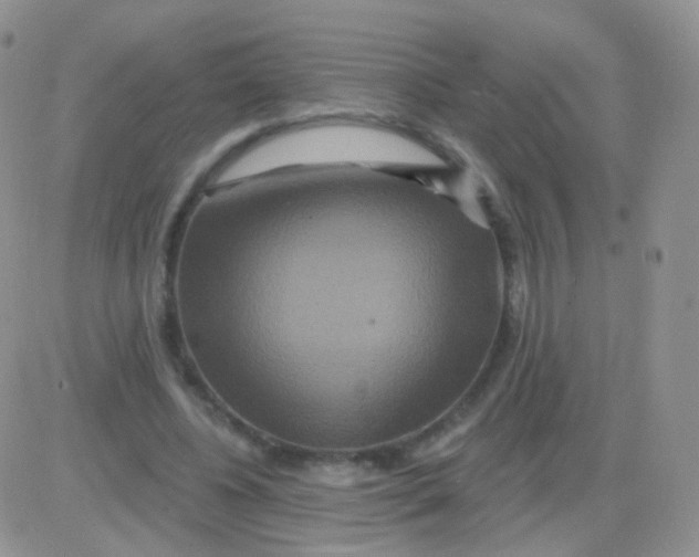 X0000083050540200702231958