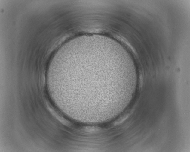 X0000083050541200702231958