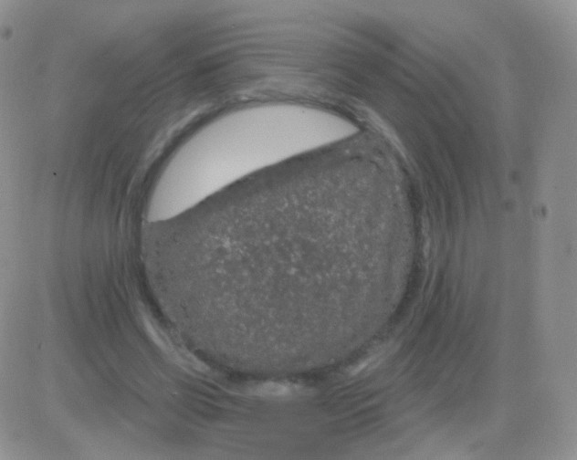 X0000083050542200702231958