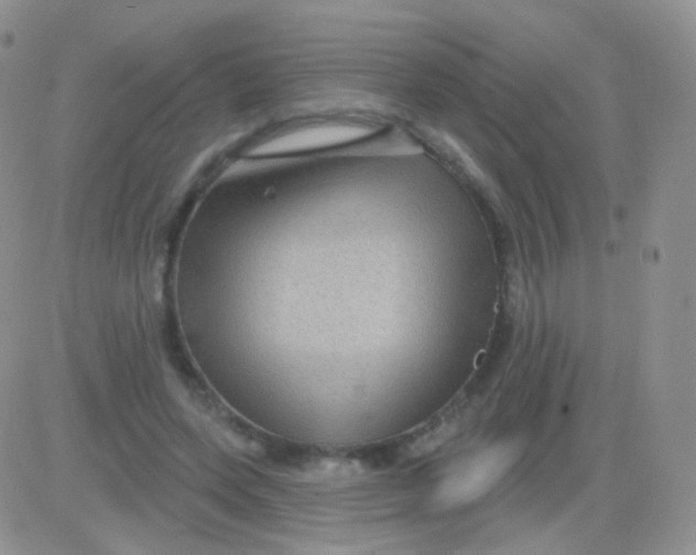 X0000083050543200702231958