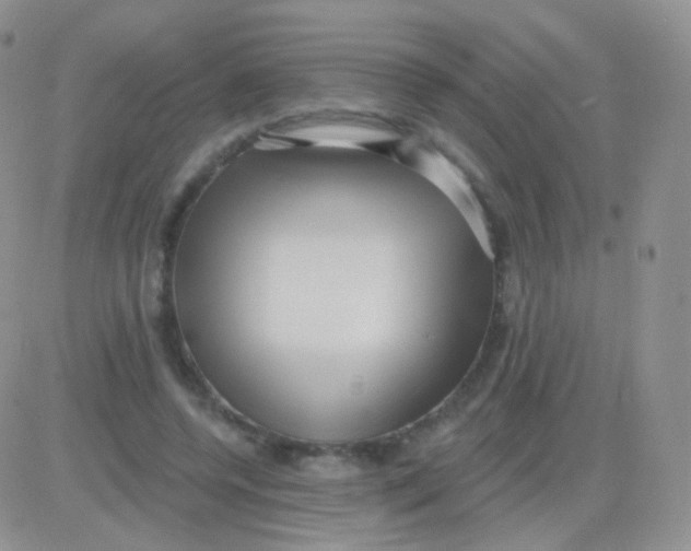 X0000083050544200702231958