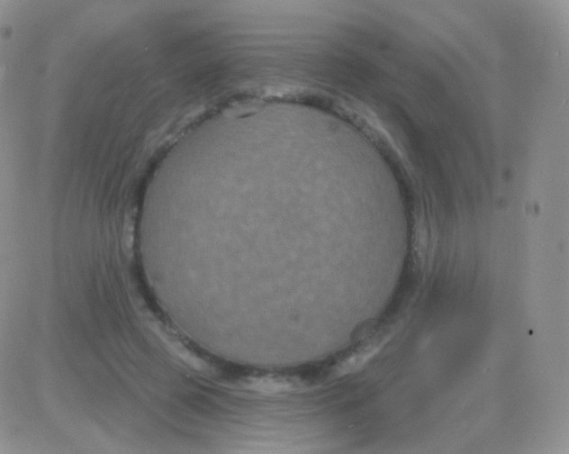 X0000083050545200702231958