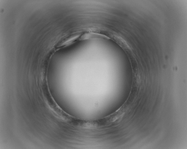 X0000083050546200702231958