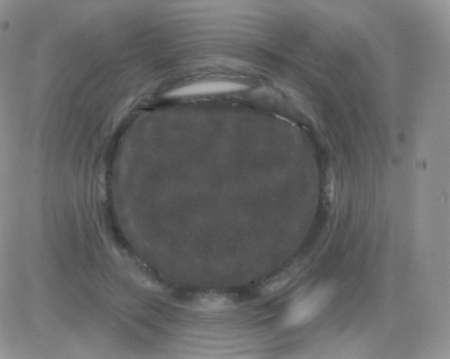 X0000083050547200702231958