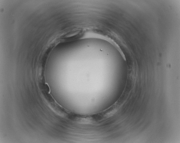 X0000083050548200702231958