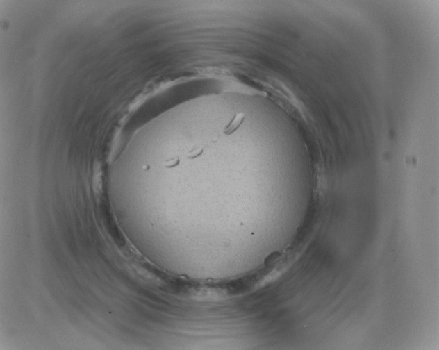 X0000083050549200702231958