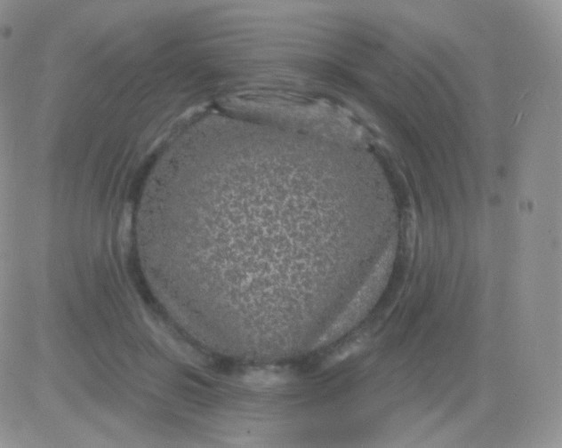 X0000083050550200702231958