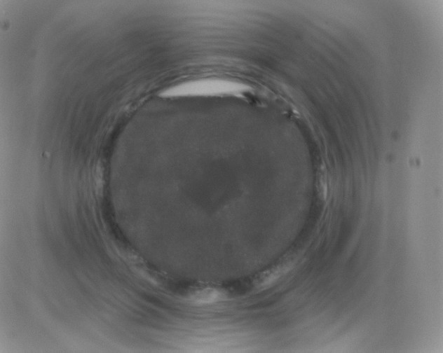 X0000083050551200702231958