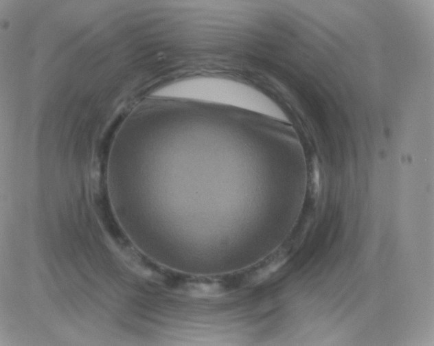 X0000083050552200702231958