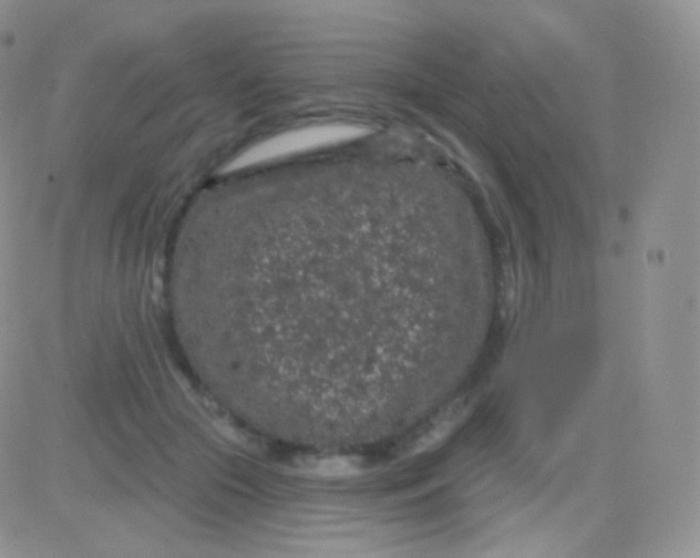 X0000083050553200702231958