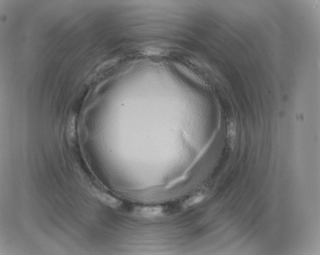 X0000083050554200702231958