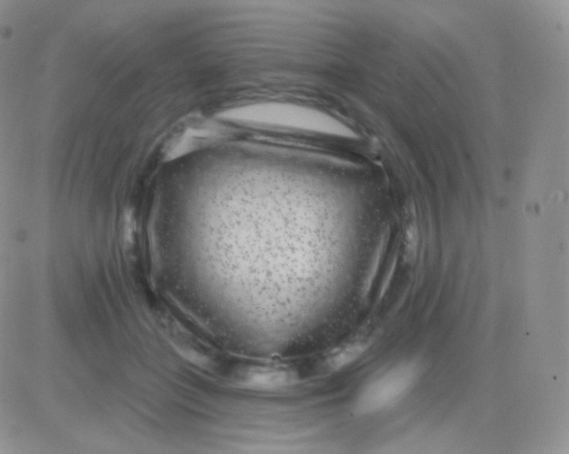 X0000083050555200702231958