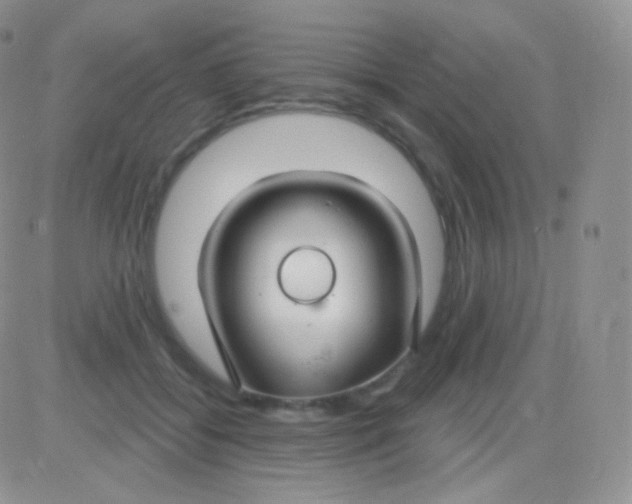 X0000083050556200702231958