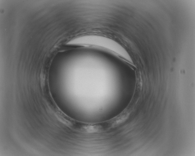 X0000083050558200702231958