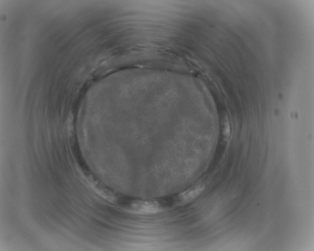 X0000083050559200702231958